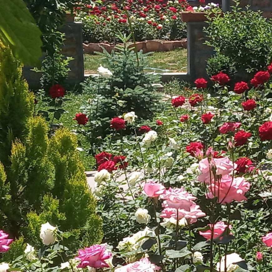 Guest House Hasmik Yeghegnadzor Exterior foto